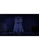 The Excavation of Hob's Barrow * STEAM RU АВТО 0