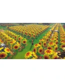 Song Of The Prairie * STEAM RU АВТО 0