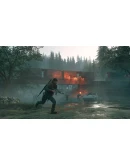 Days Gone Steam Gift АВТОВЫДАЧА ВСЕ РЕГИОНЫ