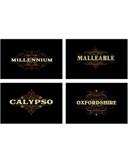 10 заголовков / значков в стиле ретро / винтаж