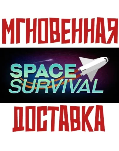 Space SurvivalSteamРФ+Весь МирKey+ Карточки