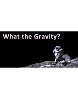 What The Gravity АВТОДОСТАВКА STEAM GIFT РОССИЯ