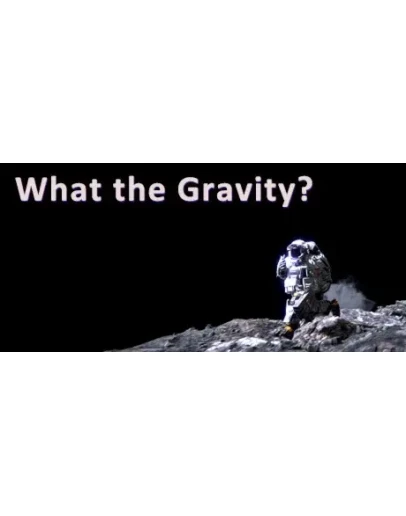 What The Gravity АВТОДОСТАВКА STEAM GIFT РОССИЯ