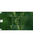 Puzzle Art: ReptilesSteamРФ+ВесьМирKey