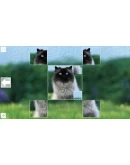 Puzzle Art: CatsSteamРФ+ВесьМирKey