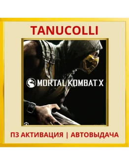 Mortal Kombat X (PS/PS5/RU) П3 - Активация