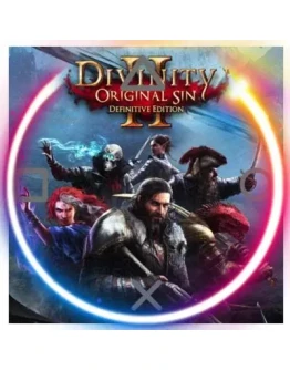 Divinity: Original Sin 2 (PS5/RU) П3 - Активация