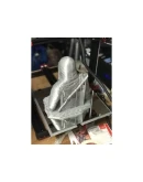 ALTAIR BUST: ПРОВЕРЕН И ГОТОВ К 3D ПЕЧАТИ