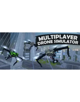 Multiplayer Drone Simulator АВТОДОСТАВКА STEAM GIFT