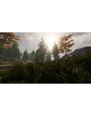 Wild Hunting АВТОДОСТАВКА STEAM GIFT РОССИЯ