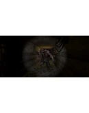 Insanity's Grip * STEAM RU АВТО 0