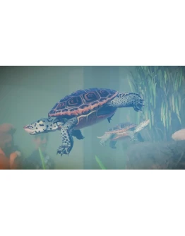 Planet Zoo - Aquatic Pack Steam DLC Весь мир