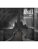 Salt and Sanctuary Steam Ключ Весь мир