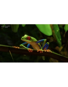 Planet Zoo - South America Pack Steam DLC Global