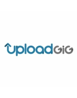 Премиум-аккаунт UPLOADGIG 12 часов 100 ГБ