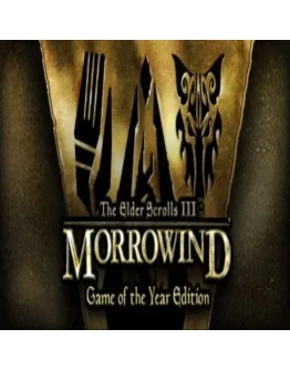 The Elder Scrolls III: Morrowind GOTY Steam key/Global The Elder Scrolls III: Morrowind GOTY Steam key/Global