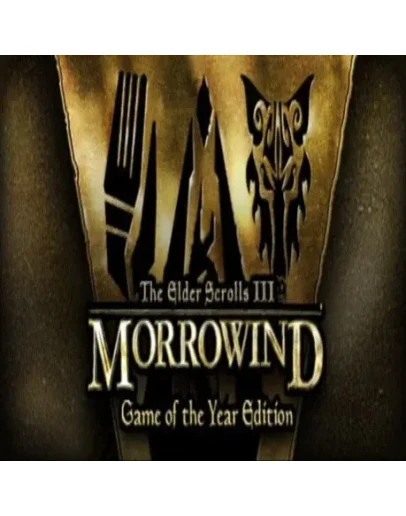 The Elder Scrolls III: Morrowind GOTY Steam key/Global
