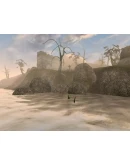 The Elder Scrolls III: Morrowind GOTY Steam key/Global