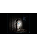 The Castle Mystery * STEAM RU АВТО 0