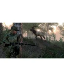 theHunter Classic - Steam Оффлайн