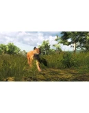 theHunter Classic - Steam Оффлайн