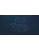 Sipho Steam РУ+UA+KZ+СНГ