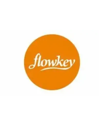 Премиум-аккаунт Flowkey1 месяц с гарантией Премиум-аккаунт Flowkey1 месяц с гарантией