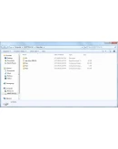 The USB Stick Found in the Grass Steam Ключ