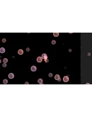 Mouse People АВТОДОСТАВКА STEAM GIFT РОССИЯ