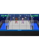 Championship Wrestling Promoter STEAM GIFT РОССИЯ