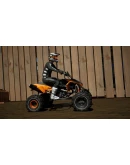 MX vs ATV Legends - KTM Pack DLCАВТОДОСТАВКА Steam