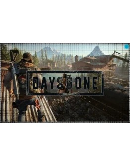 Days Gone (PS4/PS5/RU) П3 - Активация