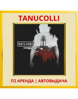 Days Gone DELUXE - Жизнь После (PS4/PS5/RU) Аренда 7