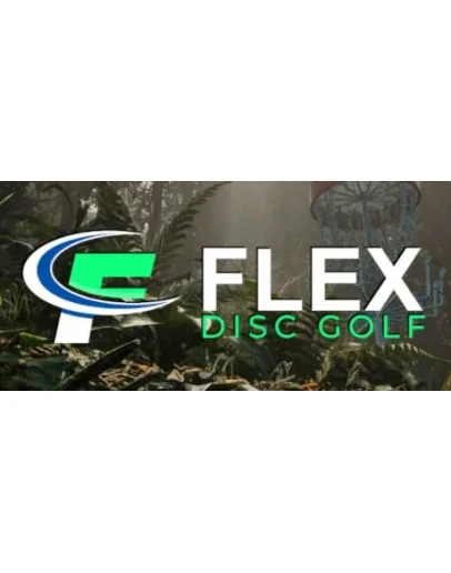 FLEX Disc Golf АВТОДОСТАВКА STEAM GIFT РОССИЯ