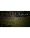 FLEX Disc Golf АВТОДОСТАВКА STEAM GIFT РОССИЯ