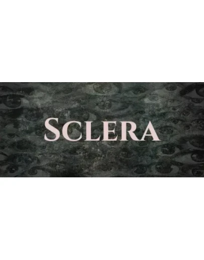Sclera * STEAM РОССИЯ АВТОДОСТАВКА 0 КАРТЫ