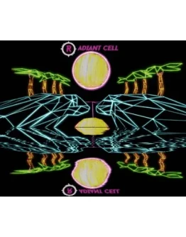 Radiant CellSteamРФ+Весь МирKey