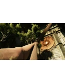 Reliefs The time of the Lemures * STEAM RU АВТО 0