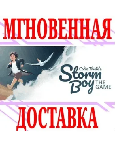 Storm Boy SteamРФ+Весь МирKey + Бонус