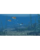 Storm Boy SteamРФ+Весь МирKey + Бонус