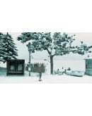 Truberbrook (Steam key / РФ+Весь Мир)