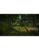 The Witcher 2: Assassins of Kings Enhanced Edition Soun