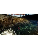 Bottle Can Float АВТОДОСТАВКА STEAM GIFT РОССИЯ