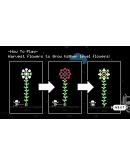 Tuttle: Star Flower Harvest АВТОДОСТАВКА STEAM GIFT