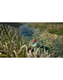 Bottle Can Float * STEAM RU АВТО 0