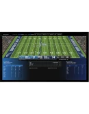 Draft Day Sports: Pro Football 2024 * STEAM RU