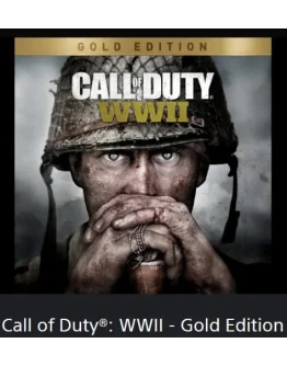 Call of Duty: WWII - Gold Edition PS4/PS5ТУРЦИЯ
