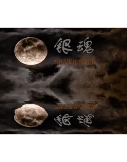 Silver SoulSteamРФ+Весь МирKey