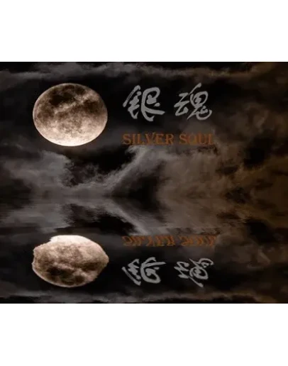 Silver SoulSteamРФ+Весь МирKey Silver SoulSteamРФ+Весь МирKey