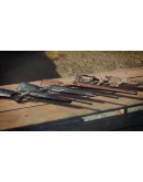 Way of the Hunter - Steyr Arms Pack DLC * STEAM RU